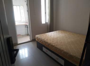 悦橄榄公寓（黄村围福里马路边7号A栋） 1室0厅1卫