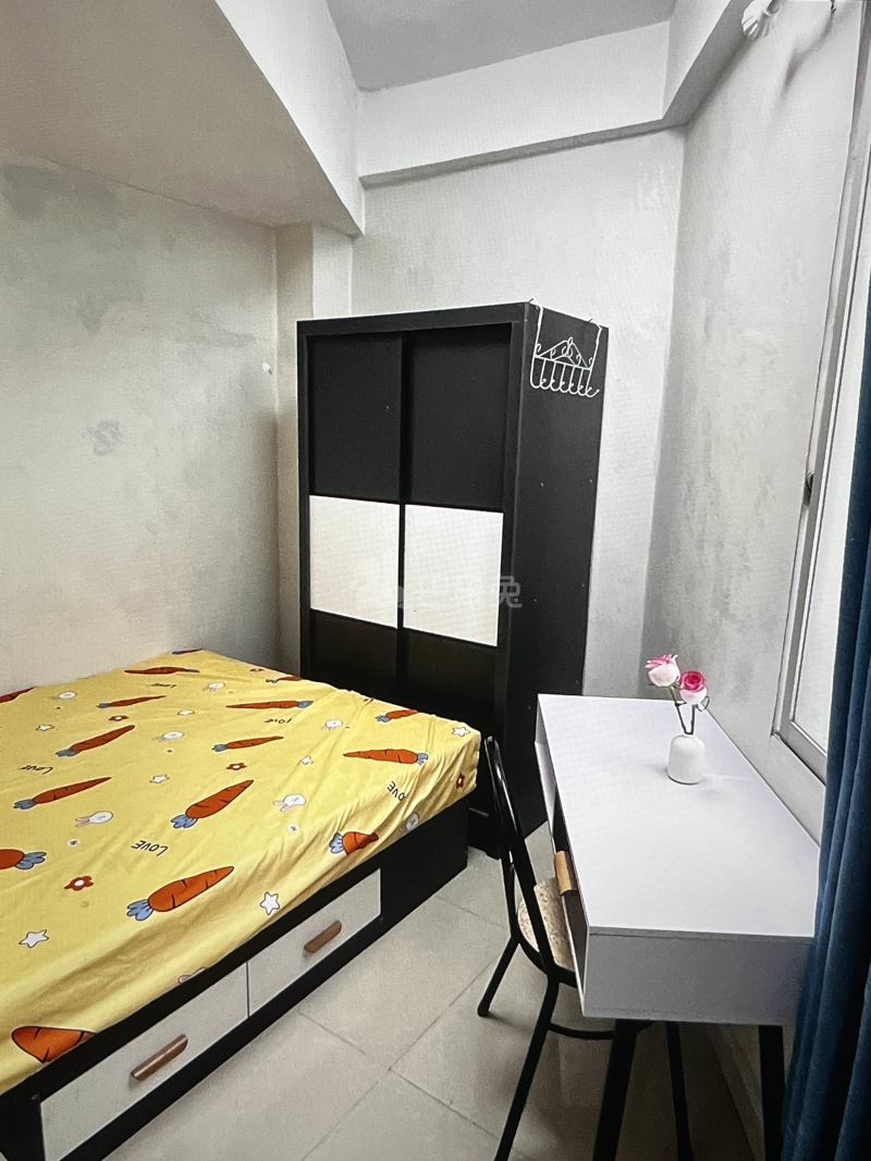 悦橄榄公寓（黄村围福里马路边7号A栋）4766441周边环境图4