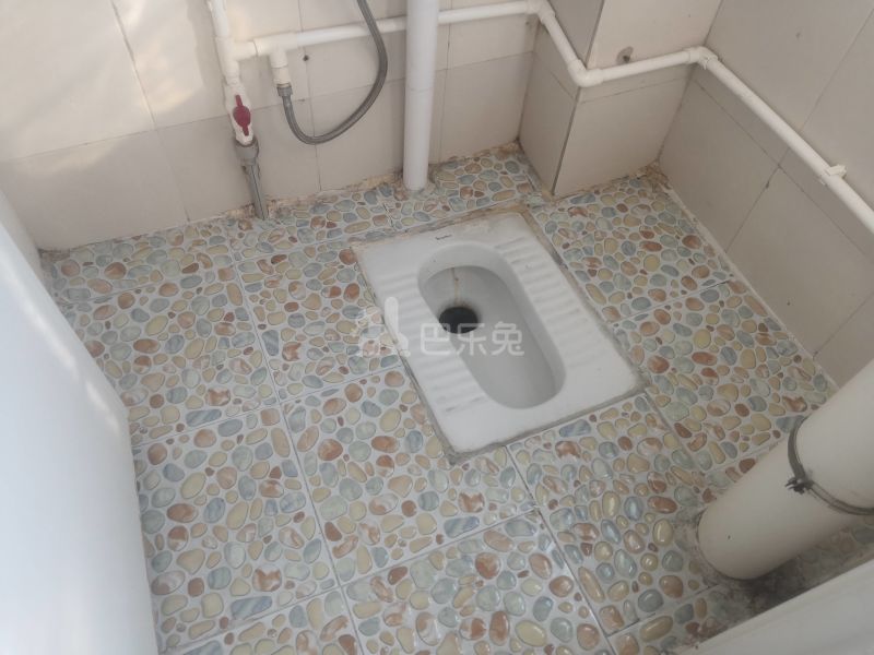 悦橄榄公寓（黄村围福里马路边7号A栋）4766464卫生间图5