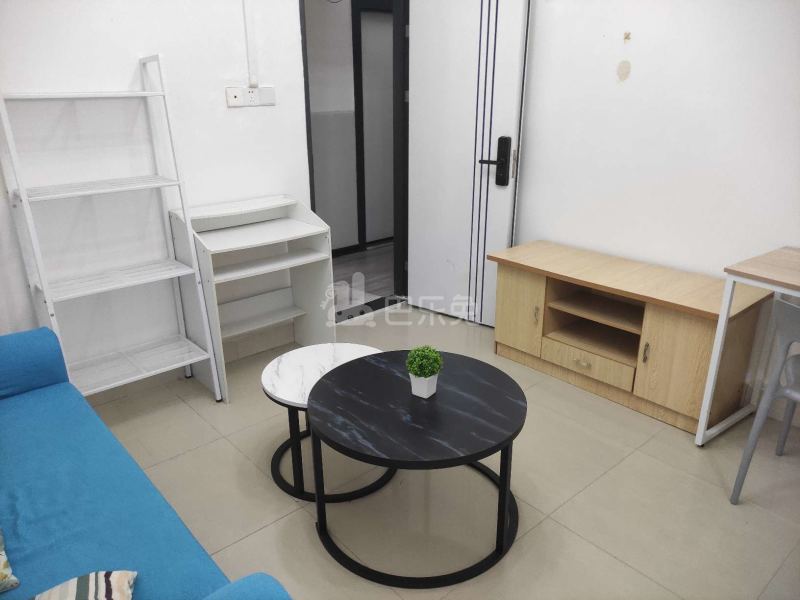 悦橄榄公寓（黄村围福里马路边7号B栋）4766482客厅图12