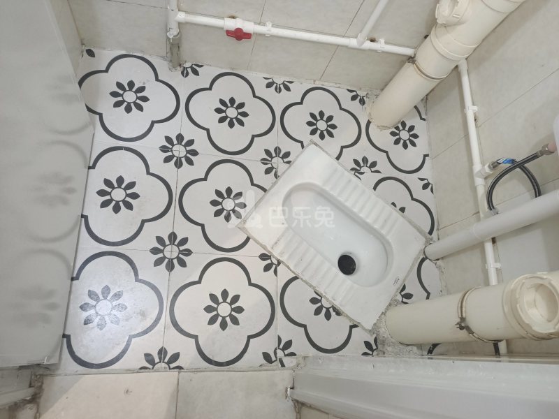 悦橄榄公寓（黄村围福里马路边7号B栋）4766492卫生间图11