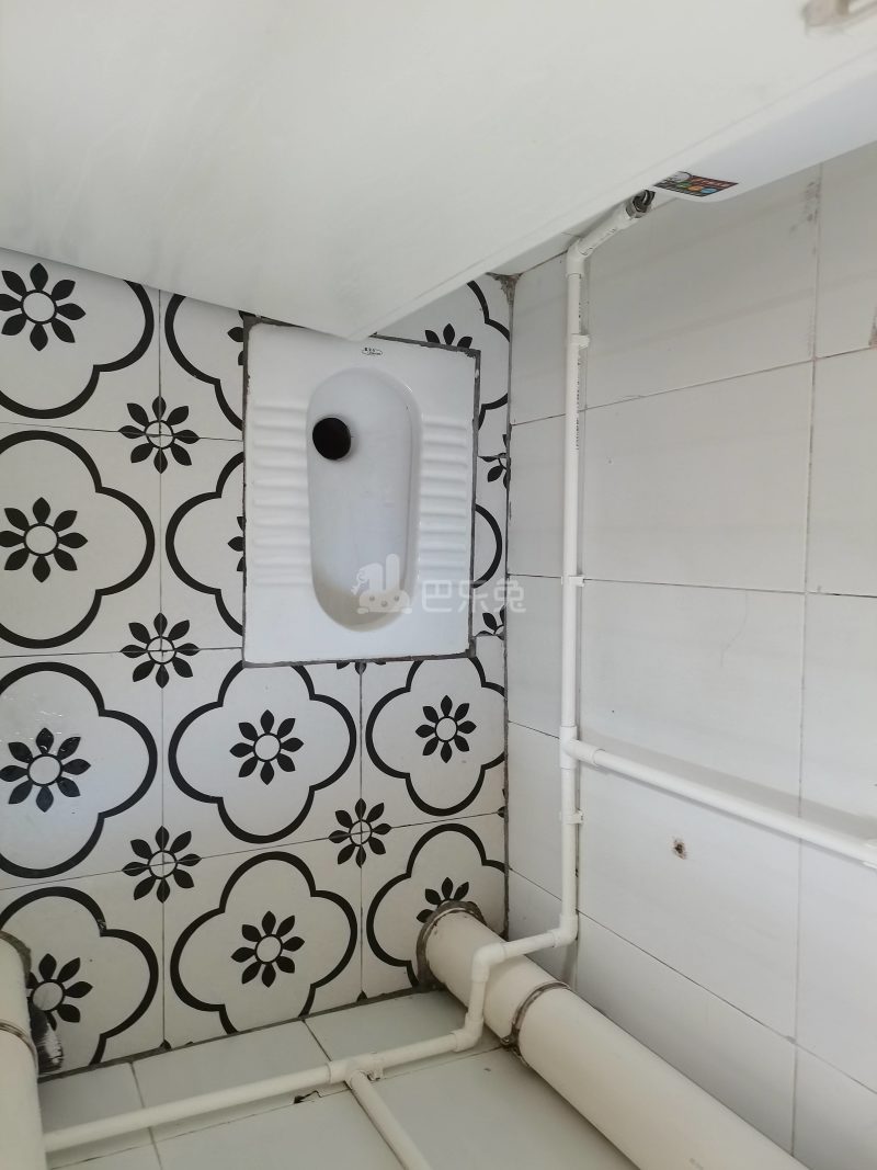 悦橄榄公寓（黄村围福里马路边7号B栋）4766530卫生间图18