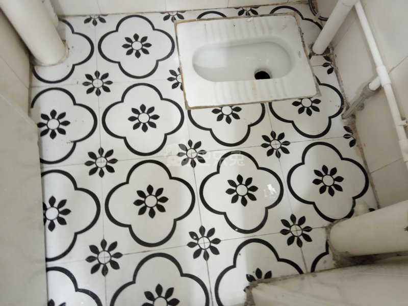 悦橄榄公寓（黄村围福里马路边7号C栋）4766543卫生间图9