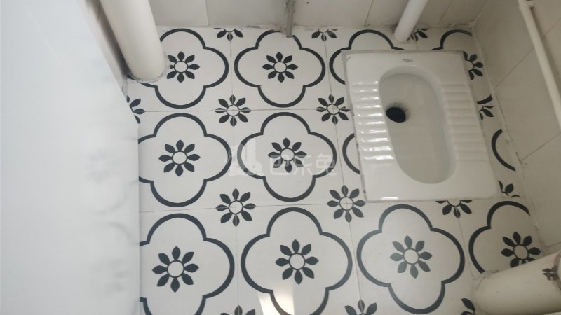 悦橄榄公寓（黄村围福里马路边7号C栋）4766547卫生间图10