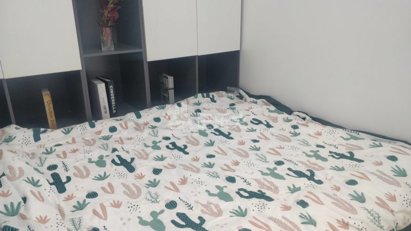 悦橄榄公寓（黄村围福里马路边7号C栋）4766547卧室图1