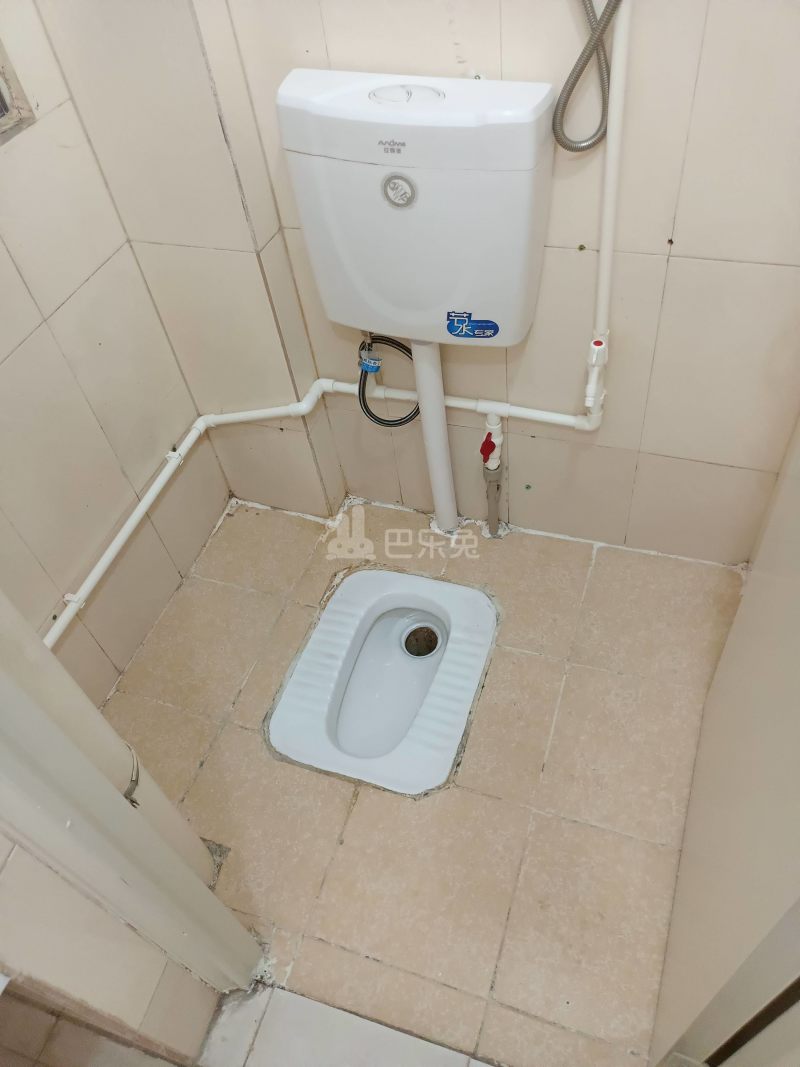 悦橄榄公寓（黄村围福里马路边7号C栋）4766556卫生间图10