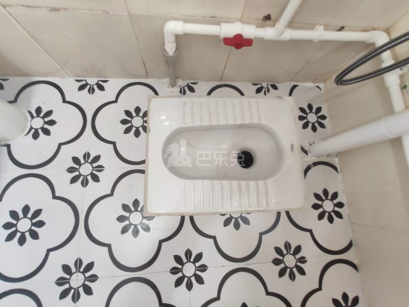 悦橄榄公寓（黄村围福里马路边7号C栋）4766557卫生间图12