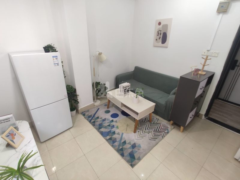 悦橄榄公寓（黄村围福里马路边7号C栋）4766557客厅图10