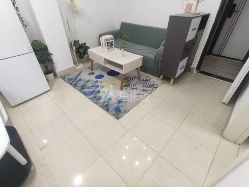 悦橄榄公寓（黄村围福里马路边7号C栋）4766557客厅图7