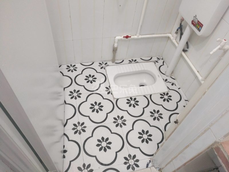 悦橄榄公寓（黄村围福里马路边7号C栋）4766565卫生间图6