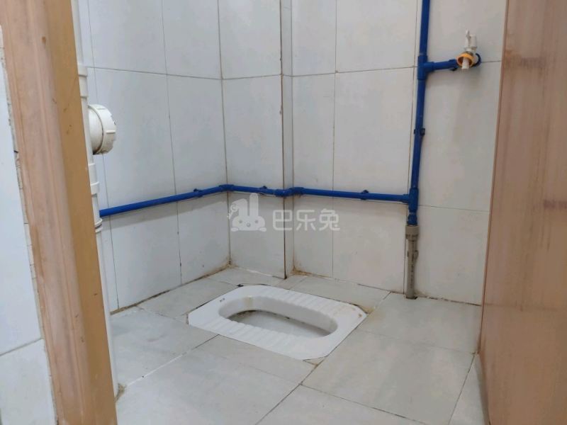 悦橄榄公寓（黄村围福里马路边7号C栋）4766566卫生间图11