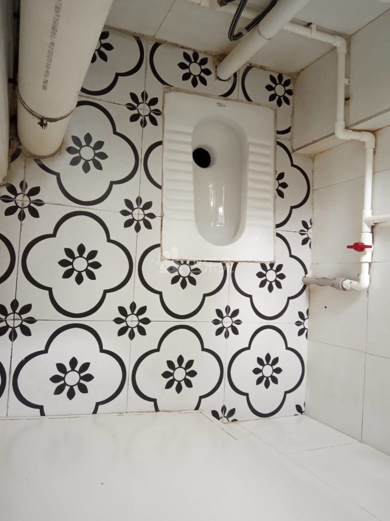 悦橄榄公寓（黄村围福里马路边7号C栋）4766577卫生间图7