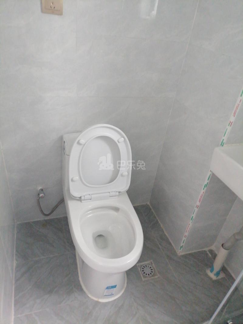 绿色丽园（大宁路667弄）4767998卫生间图6