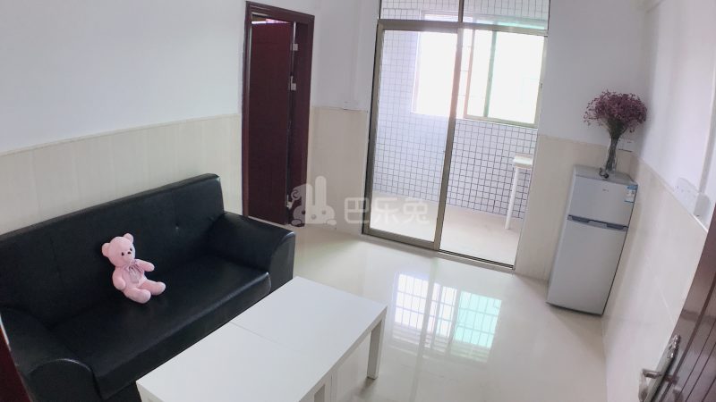 新时代公寓4777094客厅图4