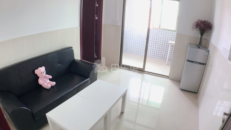 新时代公寓4777094客厅图6