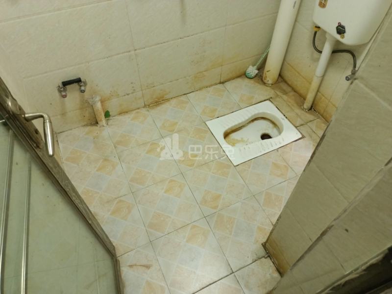 鹤边村鹤北中街三巷9号4781448卫生间图22