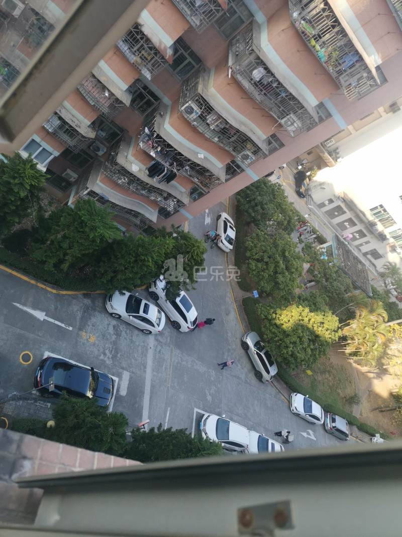 西部城建桃李花园4782456周边环境图16