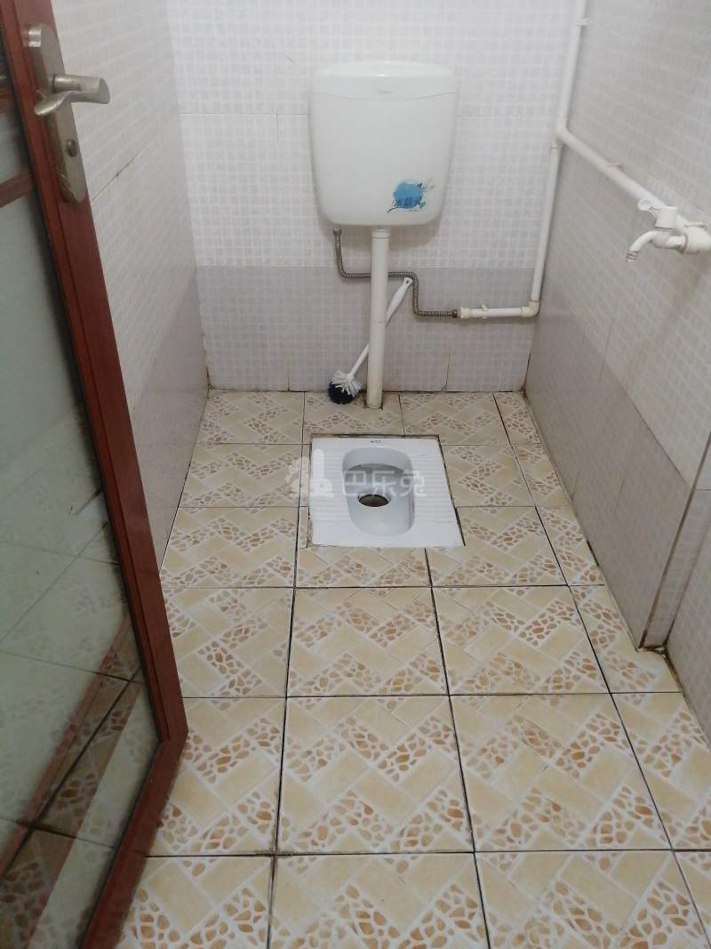 棠下大片路北二巷19号-棠下村4784108卫生间图9