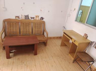 棠下大片路北二巷19号-棠下村 