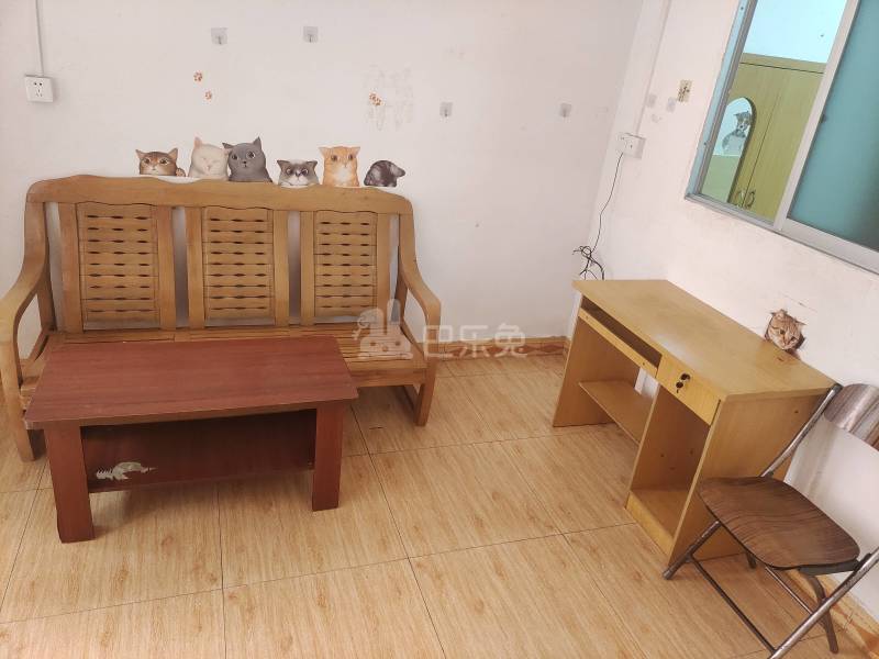 棠下大片路北二巷19号-棠下村4784111客厅图4