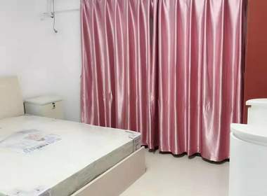 小五星酒店公寓 1室1厅1卫