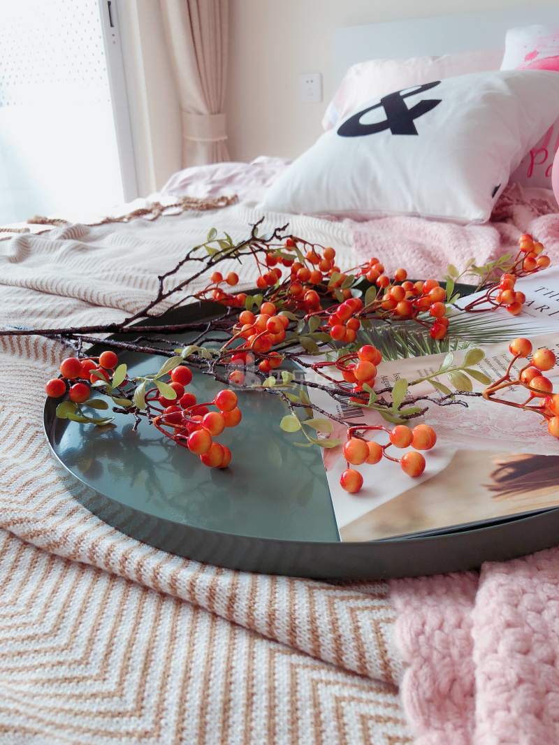 美栖公寓4795844卧室图0