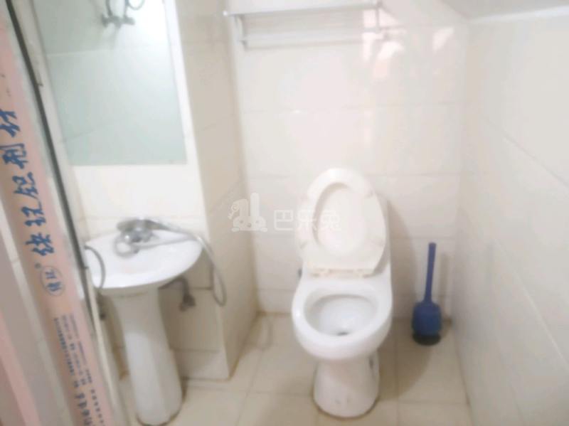 大华锦绣华城第四街区（振东花苑小区）5608723卫生间图8