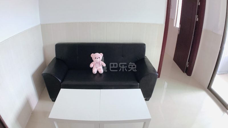 新时代公寓4813044客厅图0