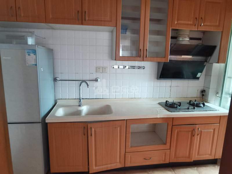 阳光棕榈园4813453厨房图8