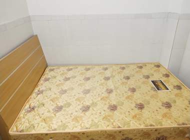 员村松岗园九巷15号 