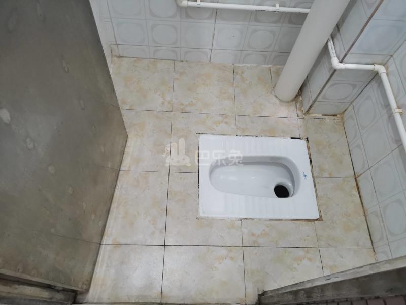 石溪天禄街西一巷11号4858631卫生间图10