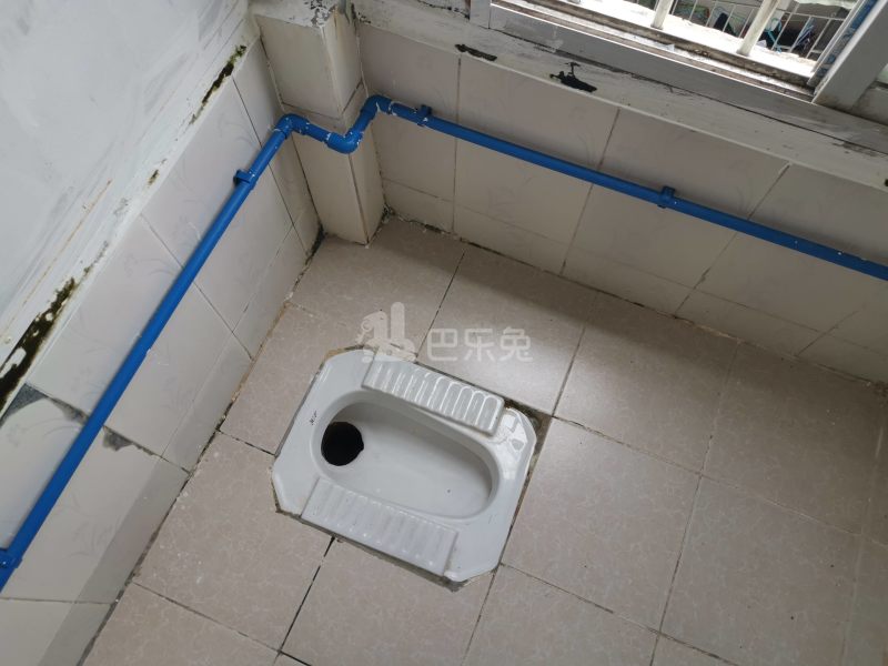 麦地村麦华路13号4861070卫生间图10