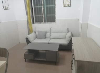 悦橄榄公寓C栋（黄村北便新街四巷1号之一） 1室1厅1卫