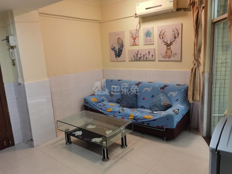 新豪电梯公寓（嘉禾望岗百花岭南街四巷4号）4886007客厅图4