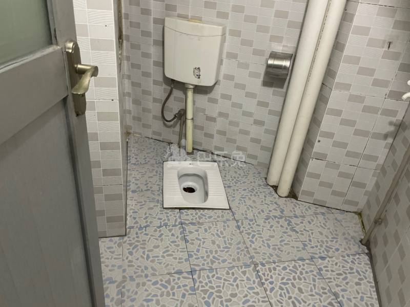 新豪电梯公寓（嘉禾望岗百花岭南街四巷4号）4886013卫生间图6