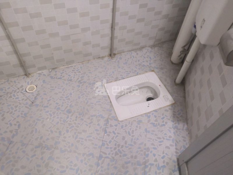 新豪电梯公寓（嘉禾望岗百花岭南街四巷4号）4886016卫生间图2