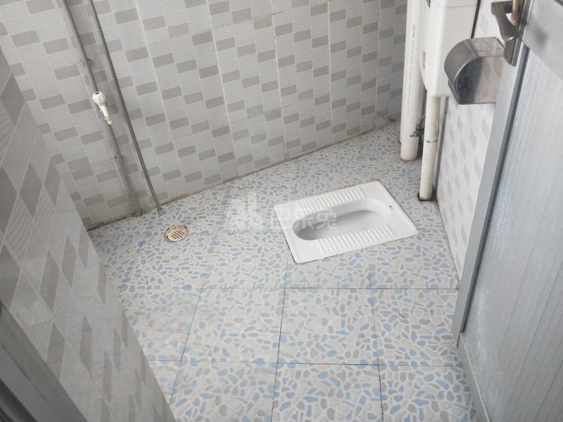 新豪电梯公寓（嘉禾望岗百花岭南街四巷4号）4886025卫生间图18