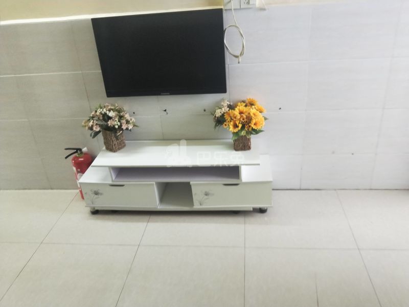 新豪电梯公寓（嘉禾望岗百花岭南街四巷4号）4886025客厅图14