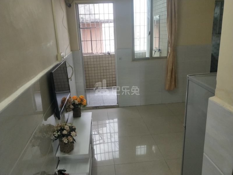 新豪电梯公寓（嘉禾望岗百花岭南街四巷4号）4886025客厅图15