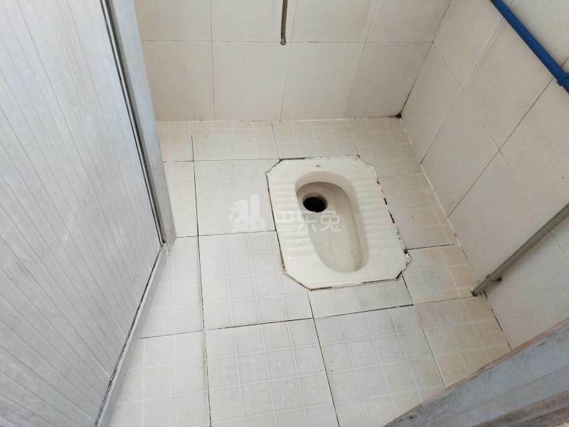 新豪电梯公寓（嘉禾望岗尹边荷木窿大街8号）4886100卫生间图11