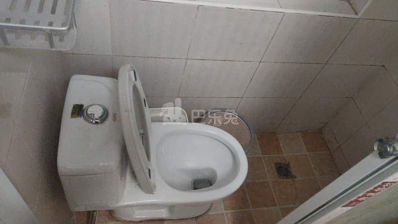 汇郡海棠苑（浦东）4889477卫生间图5