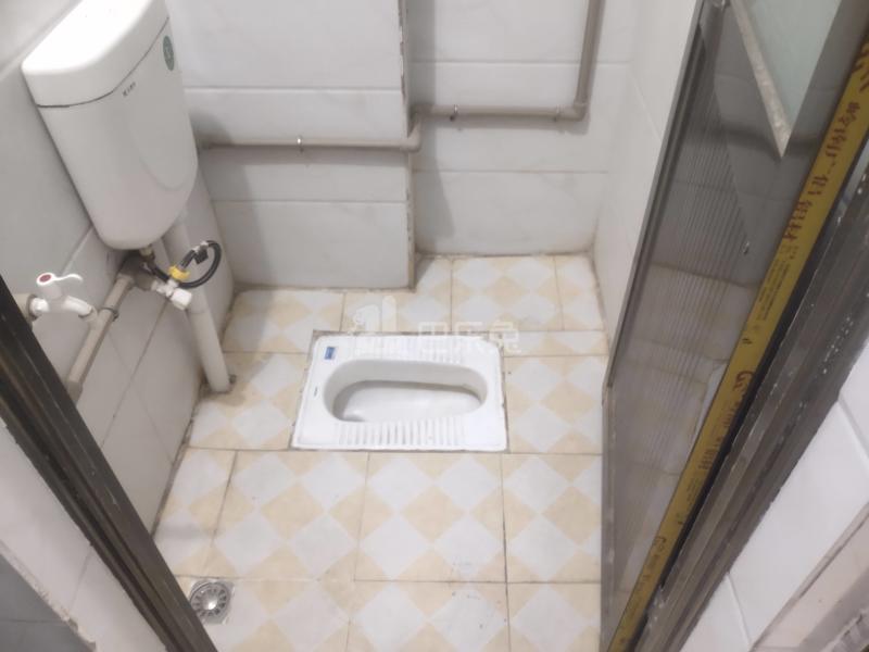 大山村新桥坊后街10号4895195卫生间图10