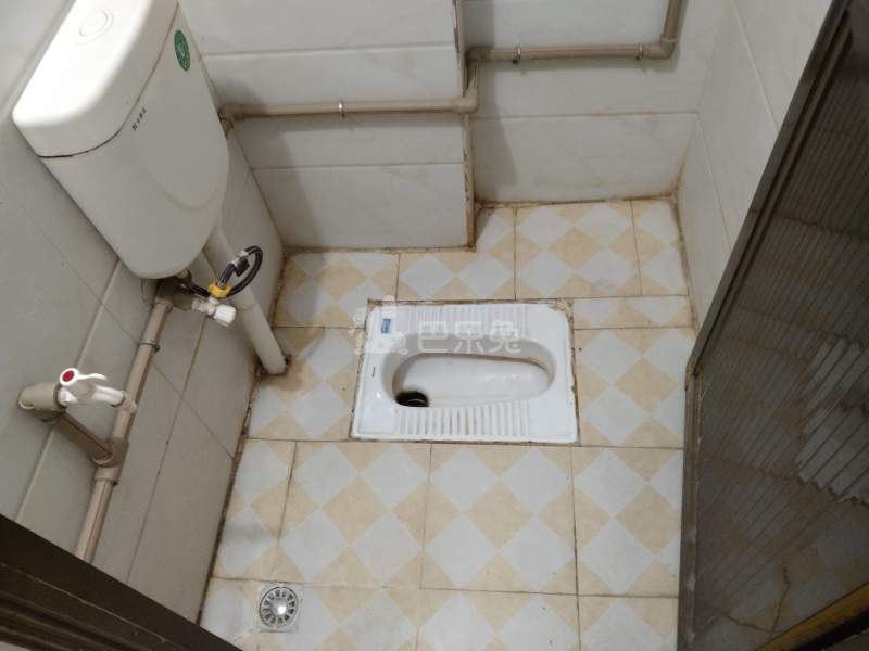 大山村新桥坊后街10号4895195卫生间图11