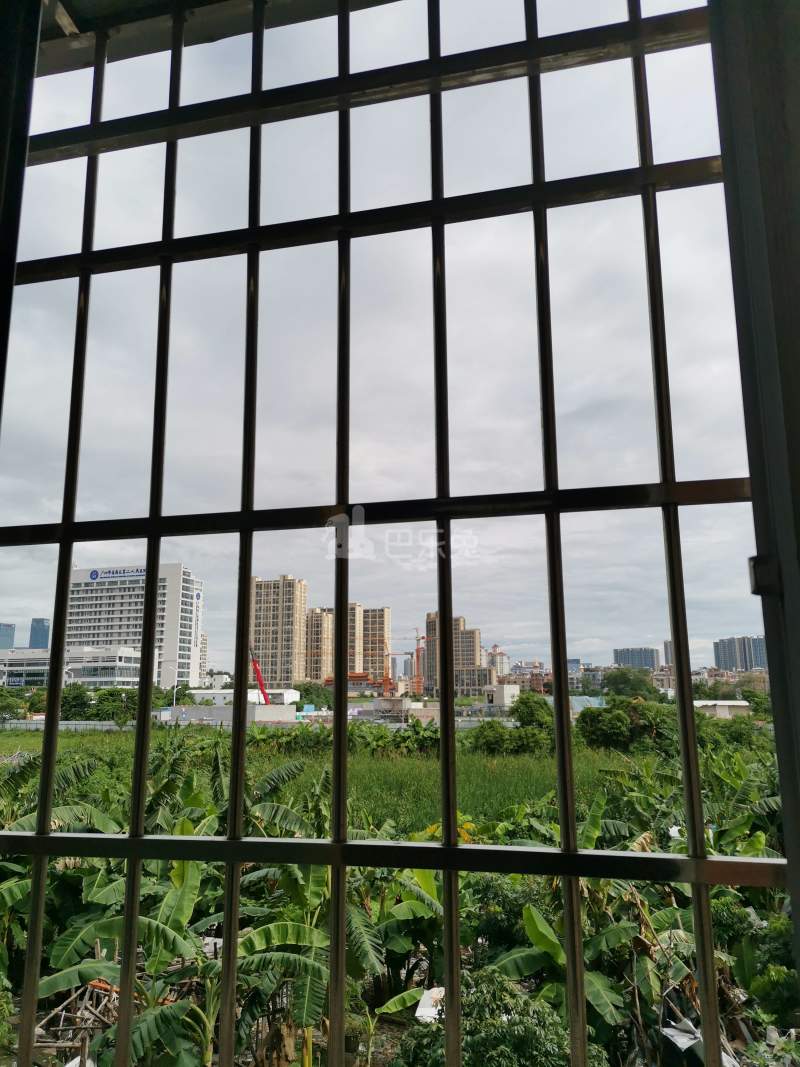 大山村镇北南街26号4895235卧室窗户图10