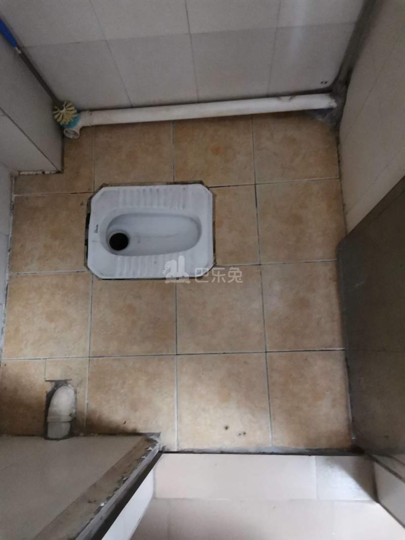大山村镇北南街26号4895235卫生间图8