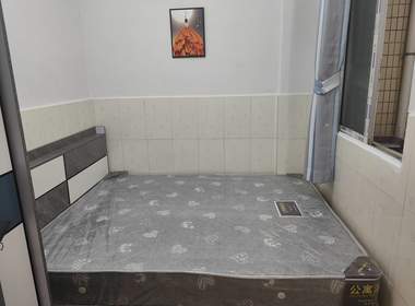 黄村麻根林10号 