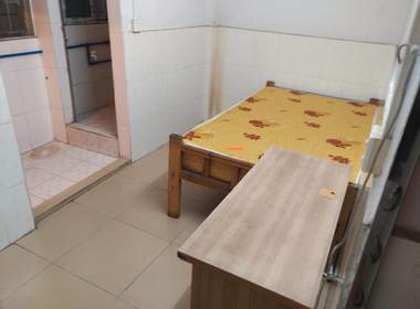 黄村麻根林10号 