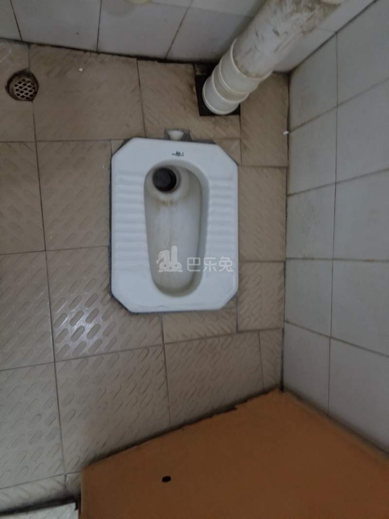 棠下西边大街西四巷26号4907313卫生间图6