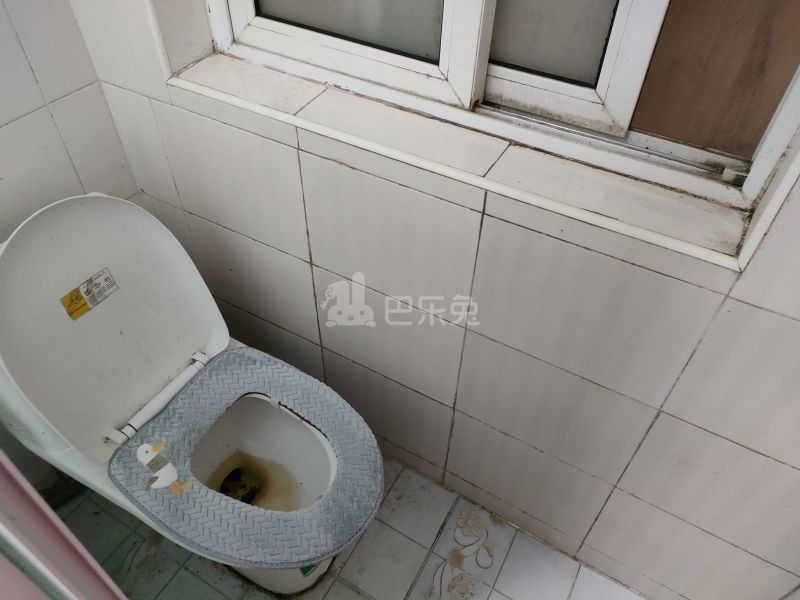 汇郡海棠苑（浦东）4911717卫生间图8