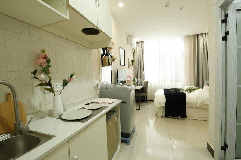 乐乎城市青年社区(东晓南河畔店)4912131厨房图4